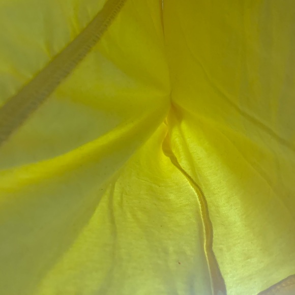 Fashion Nova Ruched Yellow Tube Top - Picture 8 of 8